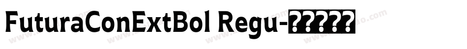 FuturaConExtBol Regu字体转换